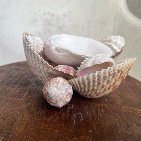 Handmade Shell Bowl - Picture 2 of 4